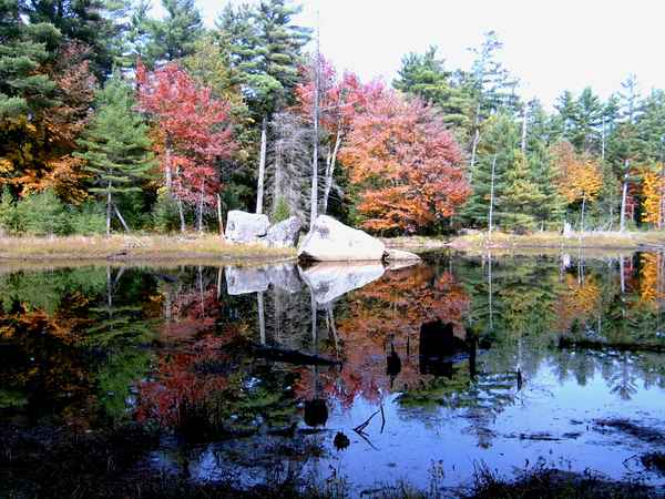 Hardy Lake Ontario Kanada