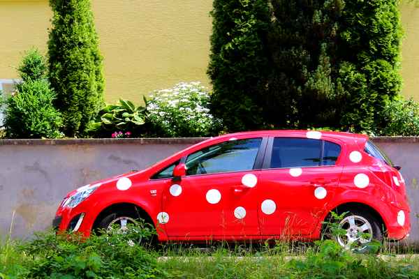 Punkte voll im Trend