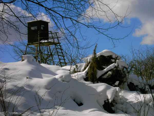  Winter im Odenwald