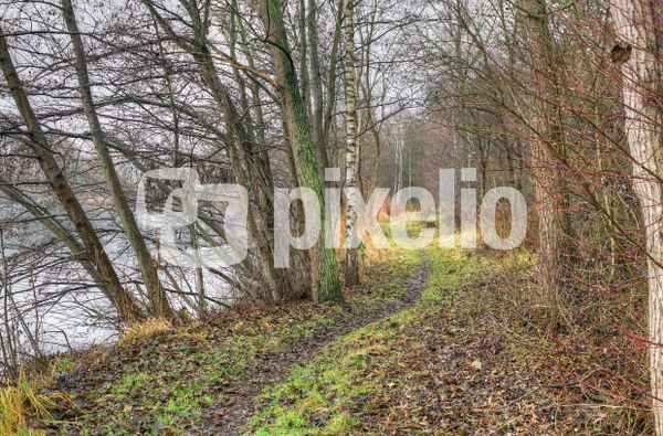 Uferweg am Angelteich 1