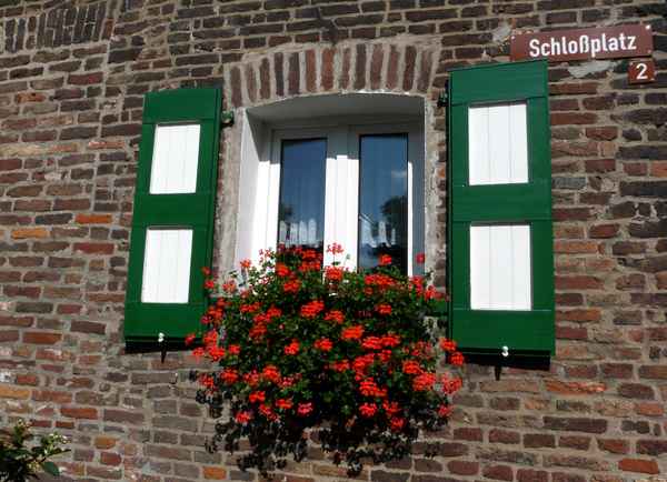 Zons am Rhein #20
