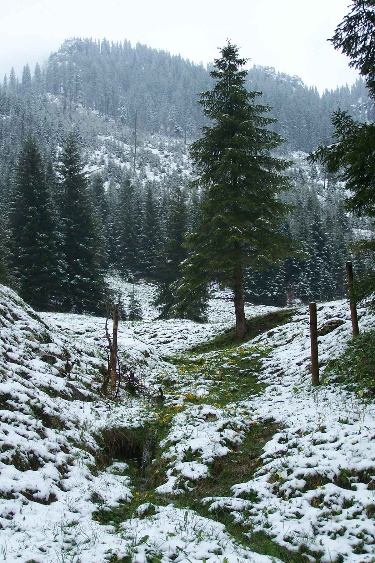 In der Nähe der Drehhütte