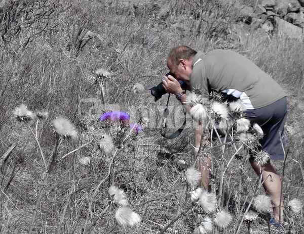 Der Fotograf
