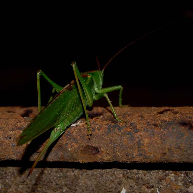 Wer rastet, der rostet.