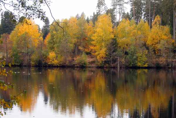 Herbstidylle am Schlüchtsee
