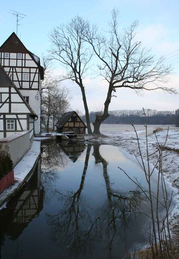 Mühle und Baum
