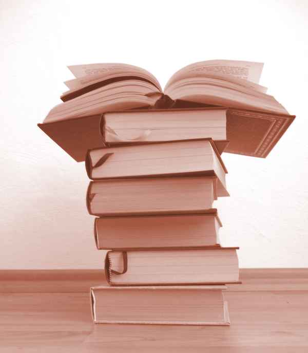 Bücherwurm_2