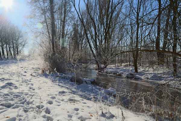Winterspaziergang