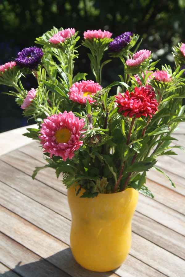 Asternstrauß in gelber Vase