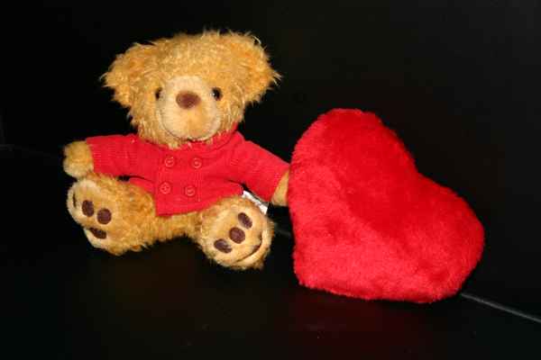 Teddybär mit Herz