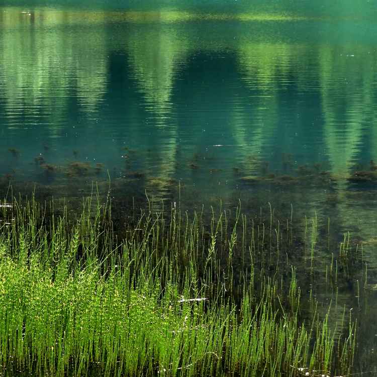 Brennersee
