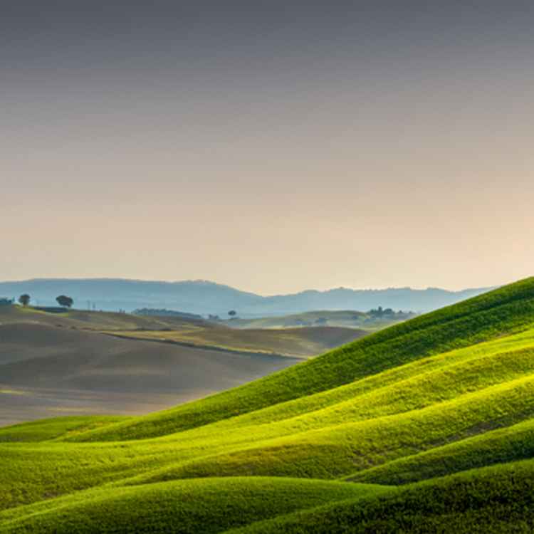 Landschaft der Toskana