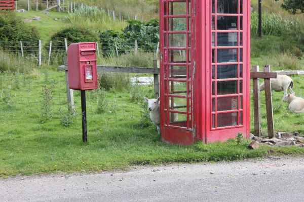 Waiting for your call