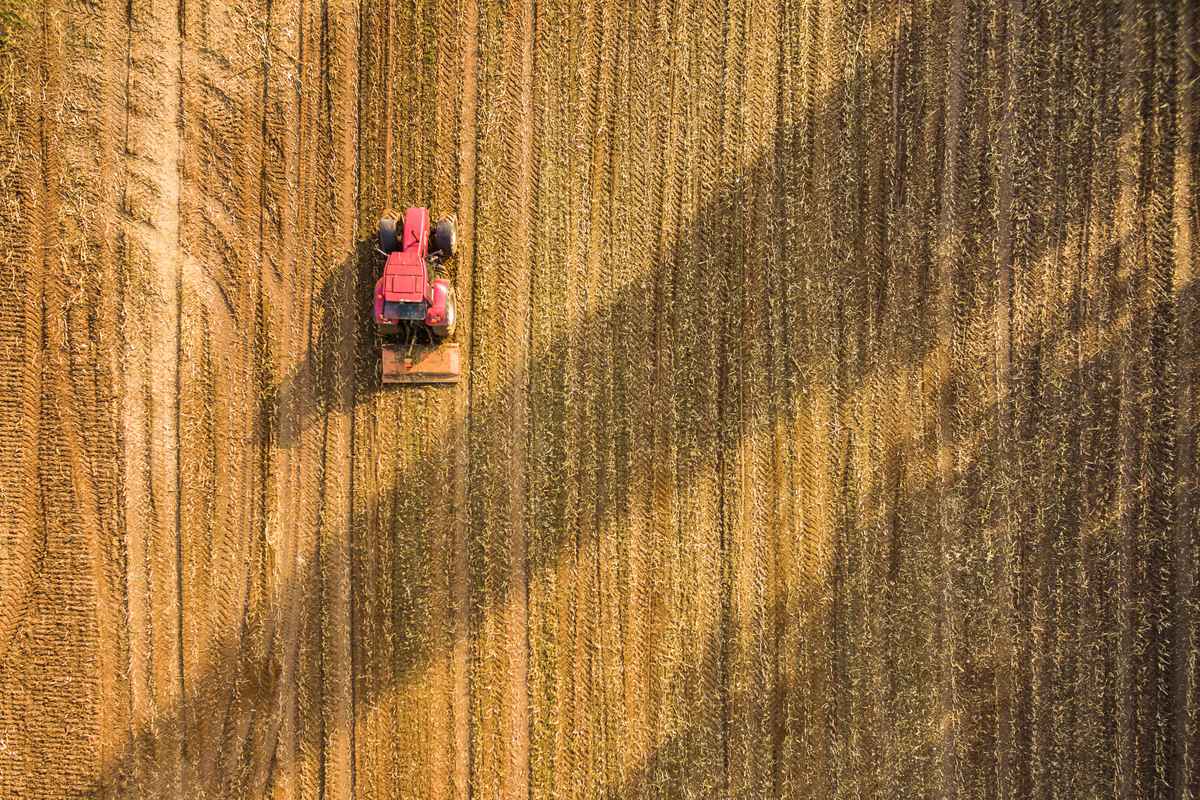 Traktor auf dem Feld