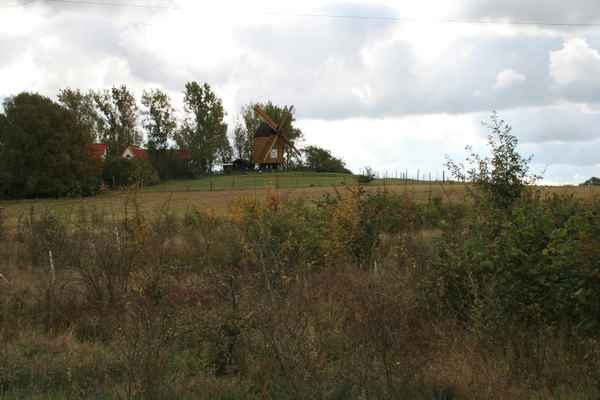 Herbstspaziergang 4