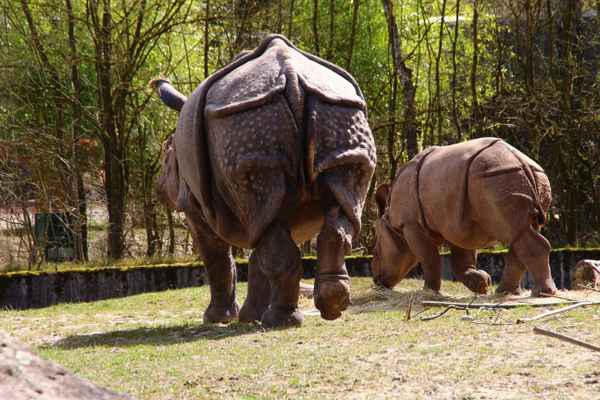 Beim dick werden bitte nicht stören...