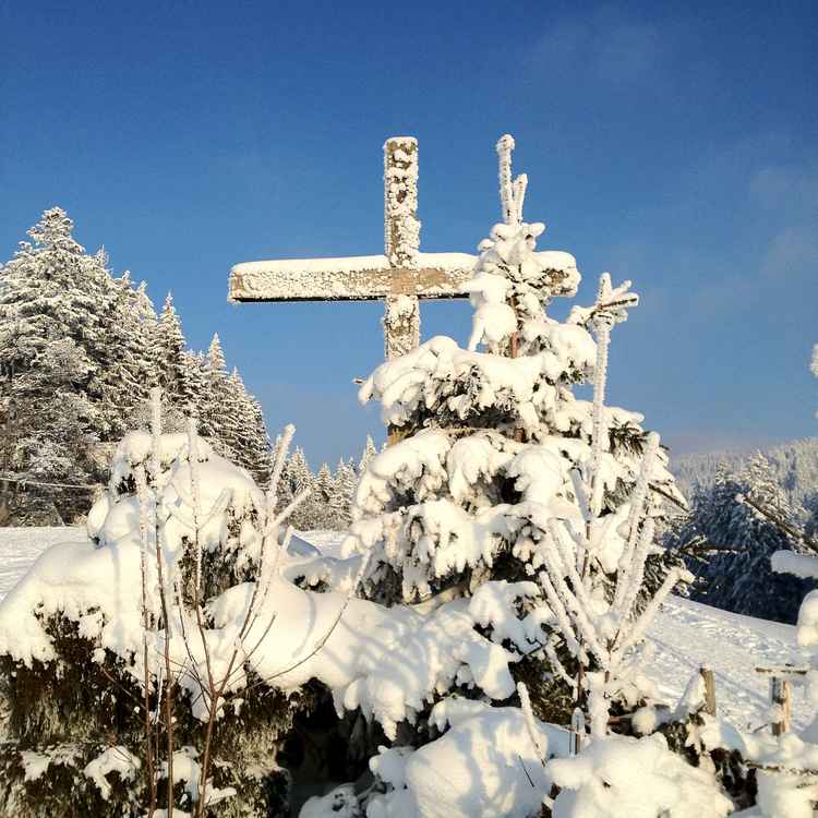 Schneekreuz