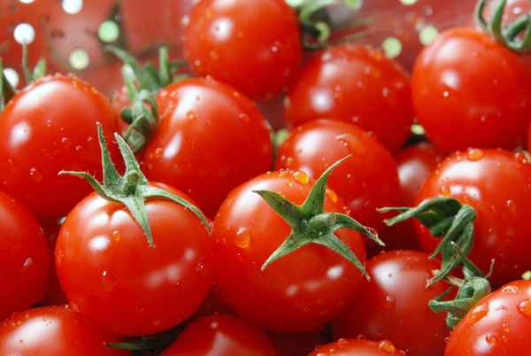 Tomate 1 (3000 x 2008 pixel)