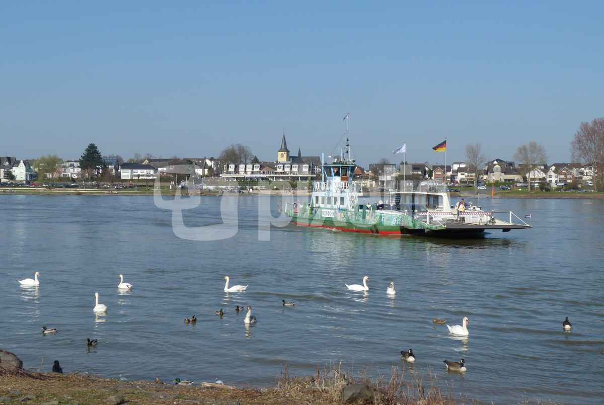Rheinfähre bei Mondorf