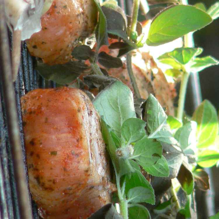 Grillfleisch