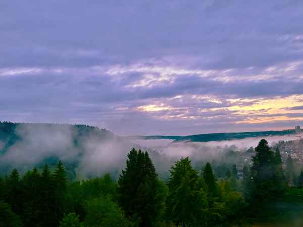 Schwarzwald-Abendstimmung mit Nebel