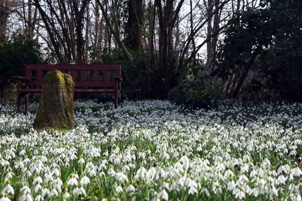 Auftanken bei den Bl&uuml;ten