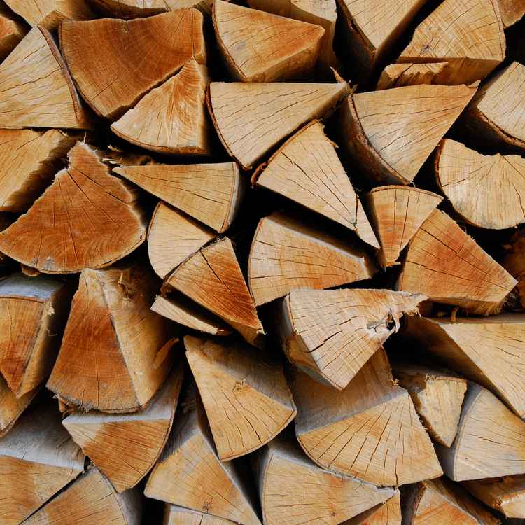 Brennholz1