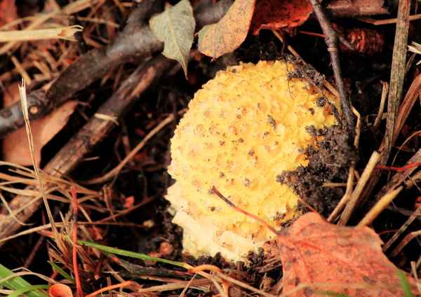 ich muss noch farbe bekennen