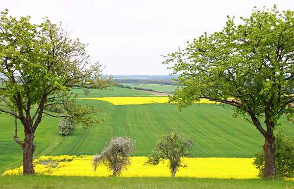 Die Bühne der Natur 01