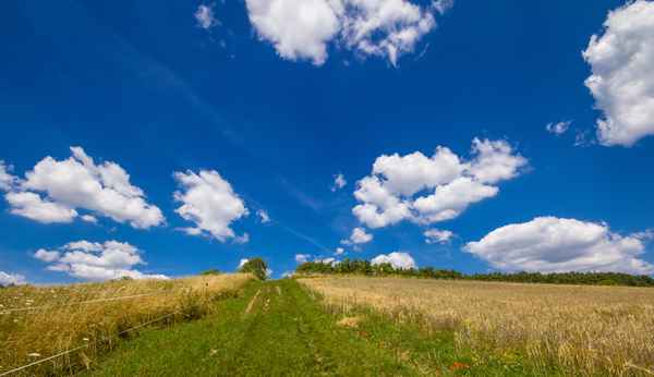 Hochsommerwolken