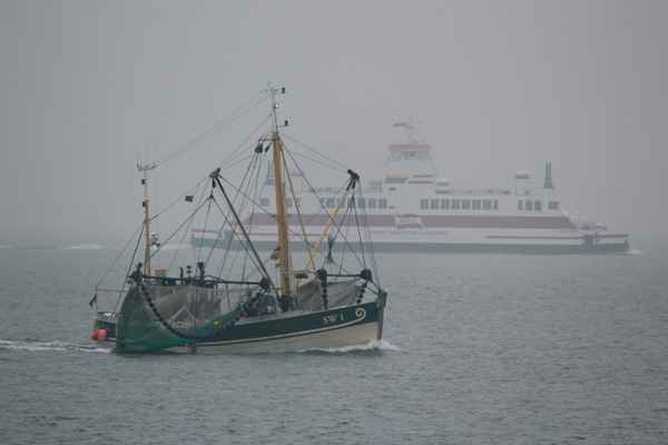Krabbenkutter gegen Fähre