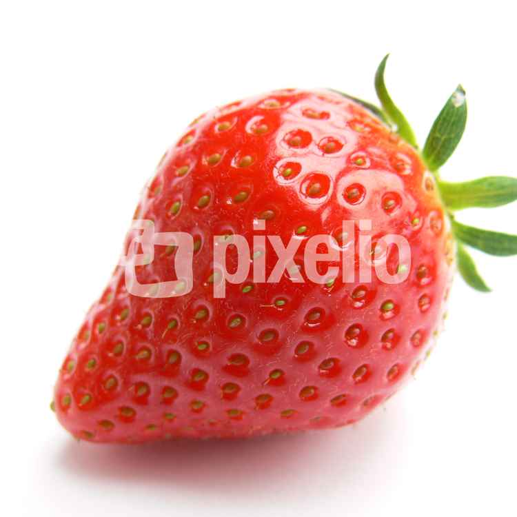 Erdbeere