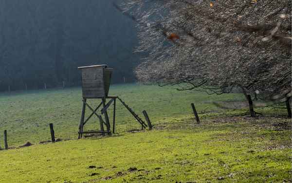 Hochsitz auf der Weide