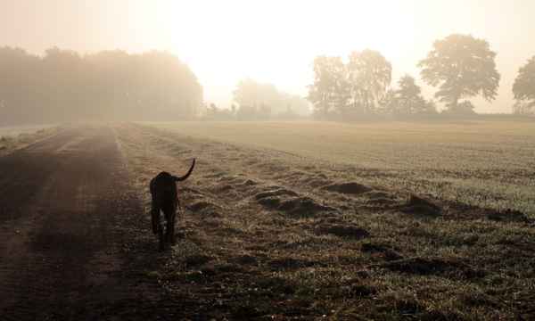 dem herbst auf der spur