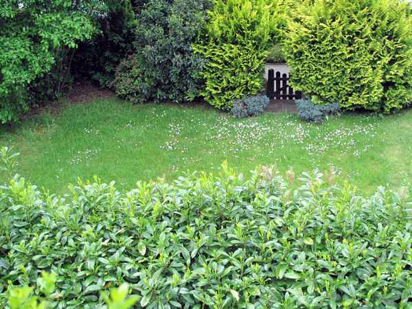 Im grünen Garten