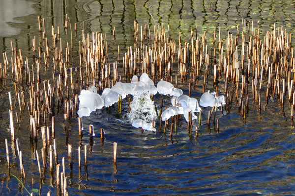 Winterruhe in der Öko-Badi