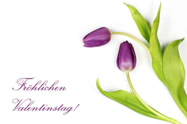 Fröhlichen Valentinstag