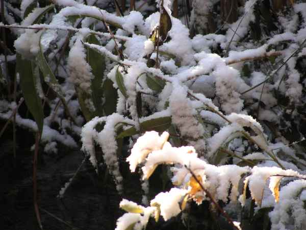 Wintermärchen