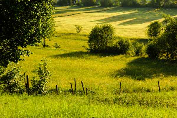 Talwiesen mit Morgenschatten
