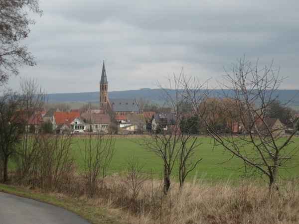 Goldene Aue 9