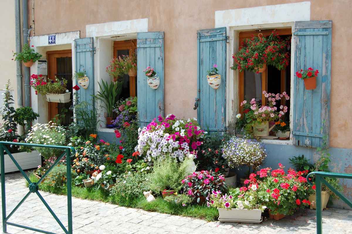 Sommerblumen