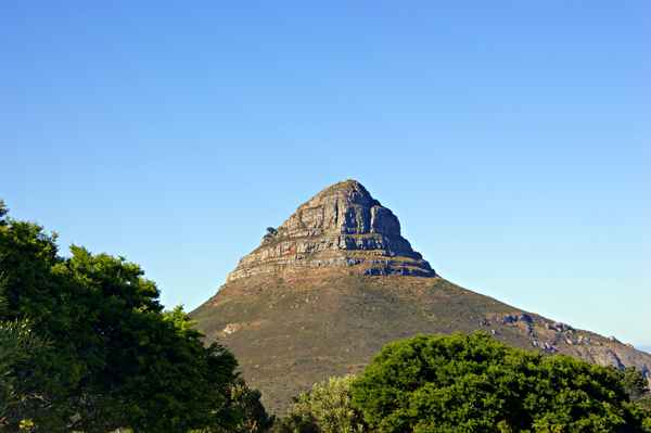 Der Lions Head