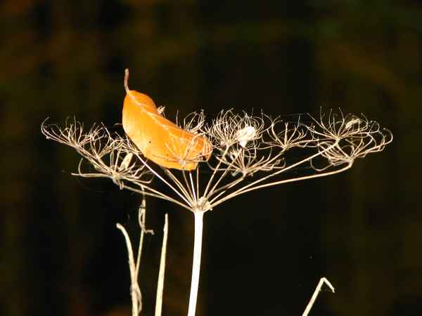 Gefangen oder aufgefangen?