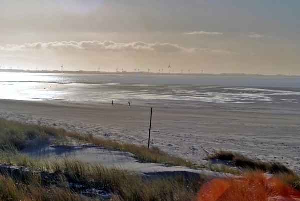 Strand mit Windrädern am Horizont