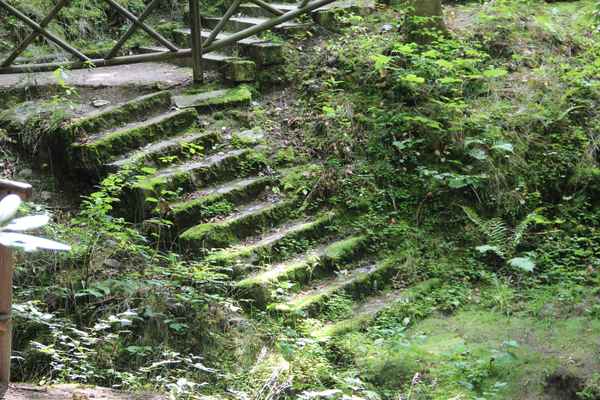 Die vergessene Treppe