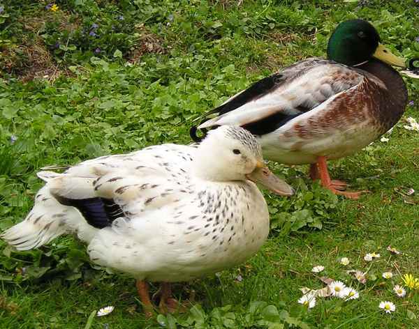 Glücklich und Zufrieden