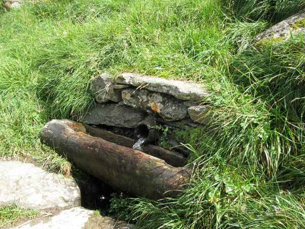 Quelle - Quellwasser