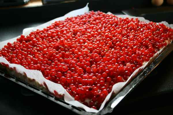 Johannisbeerkuchen