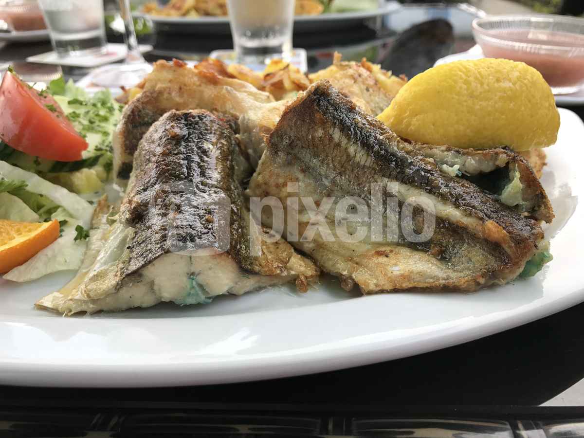 Grüne Gräte im Hornfisch