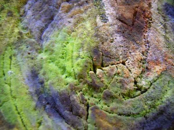 Harry hats gelöst! Holzfläche